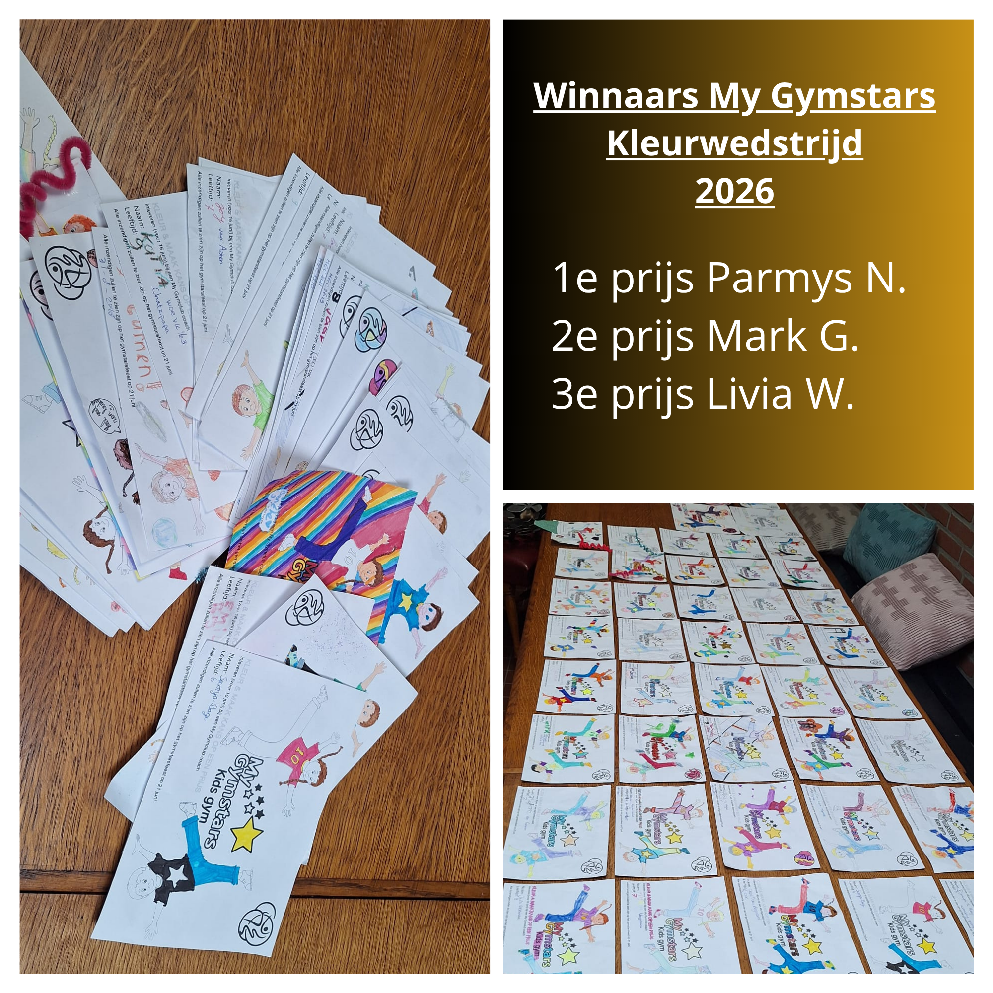 Winnaars Kleurwedstrijd 2026: Marc, Livia en Tom
